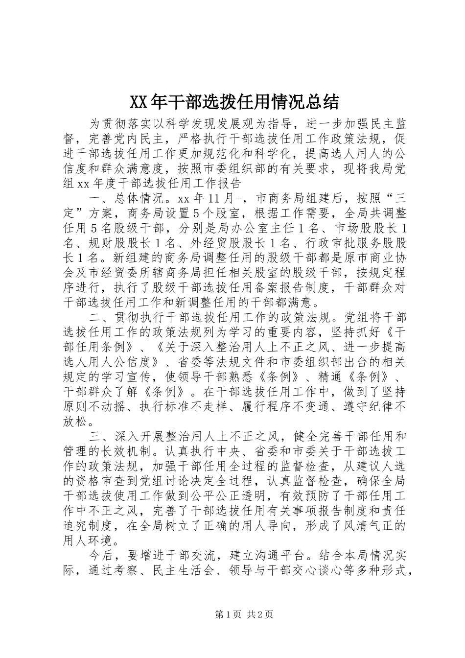 XX年干部选拨任用情况总结 _第1页