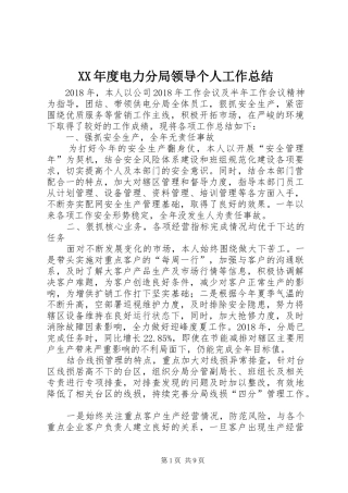 XX年度电力分局领导个人工作总结 