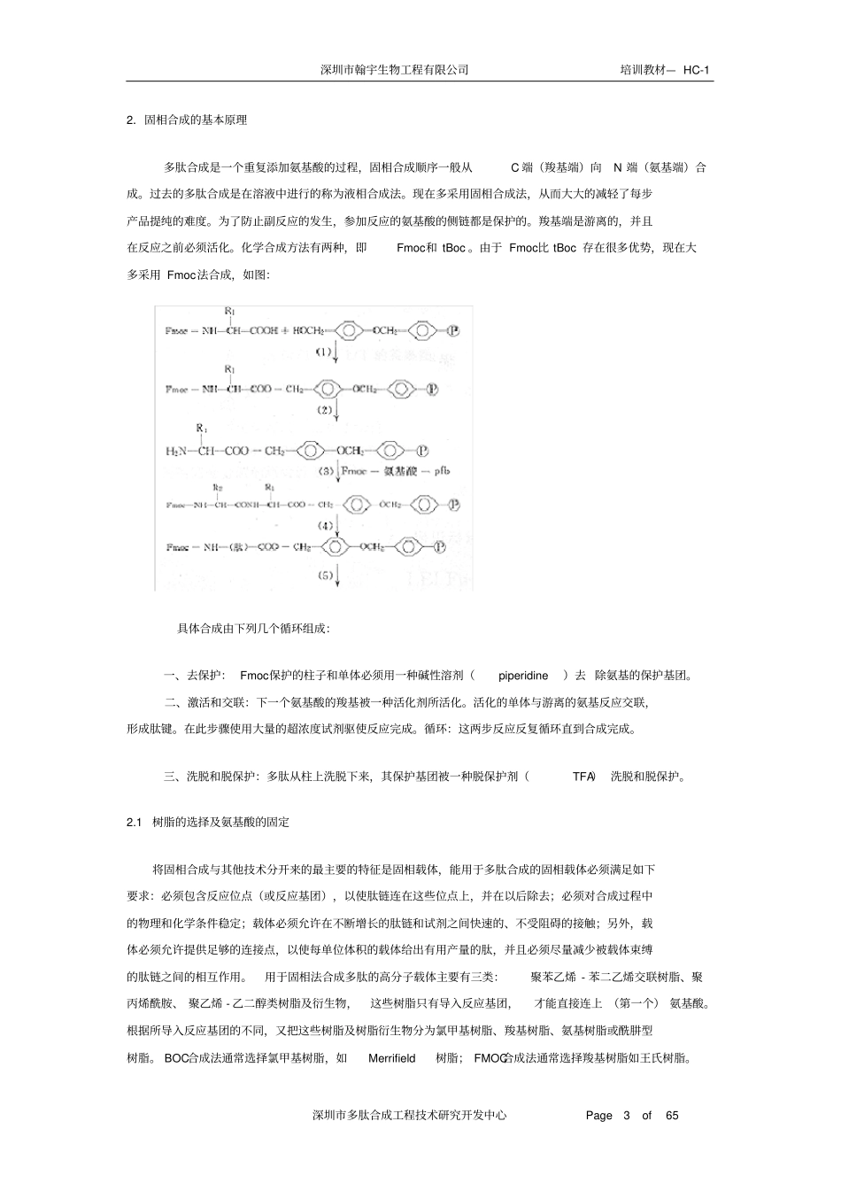 多肽合成基础知识汇编_第3页