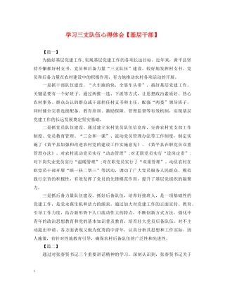 学习三支队伍心得体会【基层干部】 