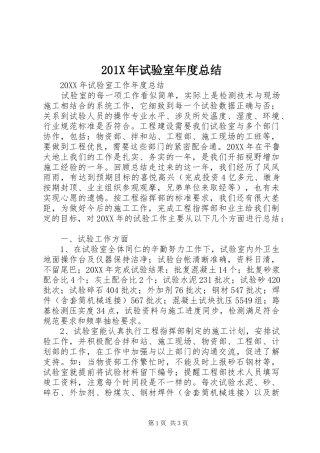 202X年试验室年度总结