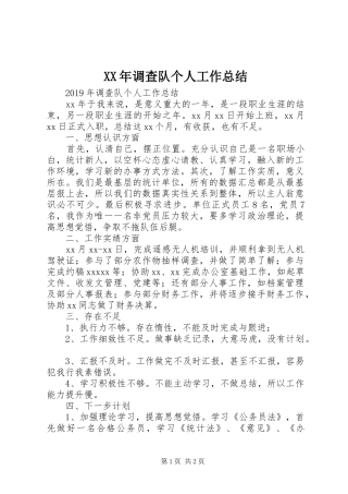 XX年调查队个人工作总结 