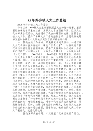 XX年终乡镇人大工作总结 