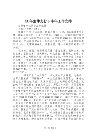 XX年主簿支行下半年工作安排