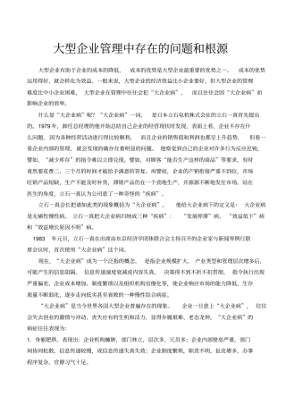 大型企业管理中存在的问题和根源