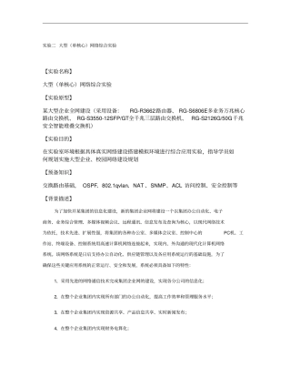 大型单核心网络综合试验