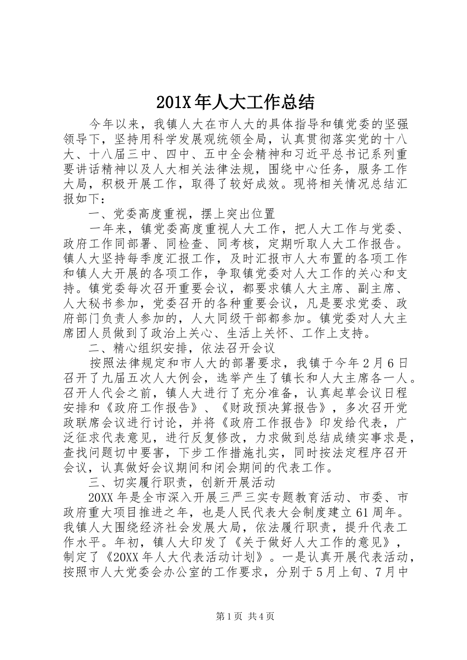 202X年人大工作总结_第1页