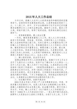 202X年人大工作总结