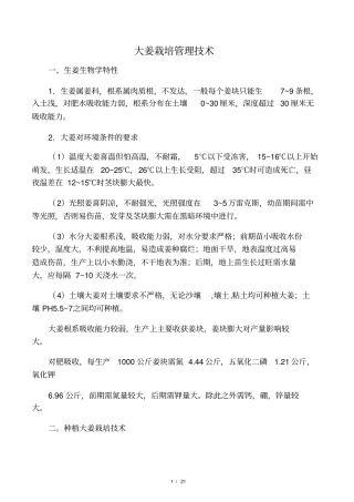 大姜高产管理技术
