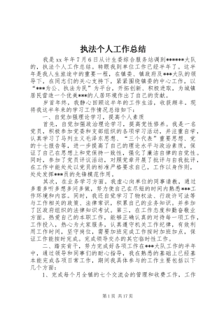 执法个人工作总结 