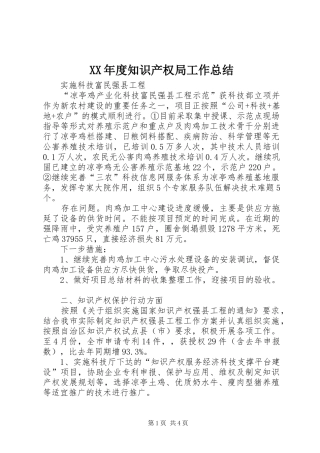XX年度知识产权局工作总结 