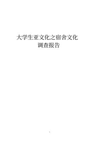 大学生亚文化调查报告