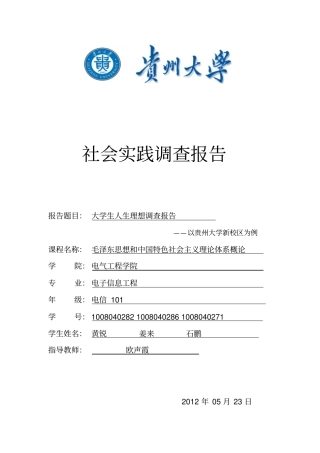 大学生人生理想调查报告