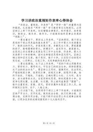 学习讲政治重规矩作表率体会心得