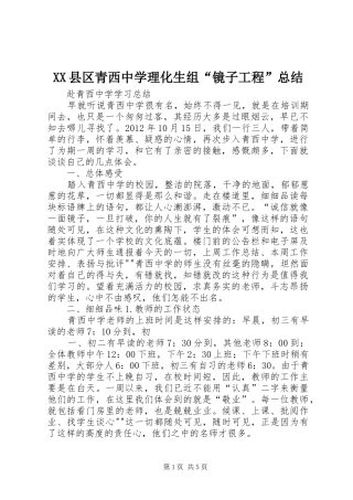 XX县区青西中学理化生组“镜子工程”总结 