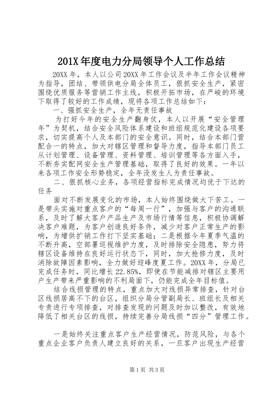 202X年度电力分局领导个人工作总结_第1页