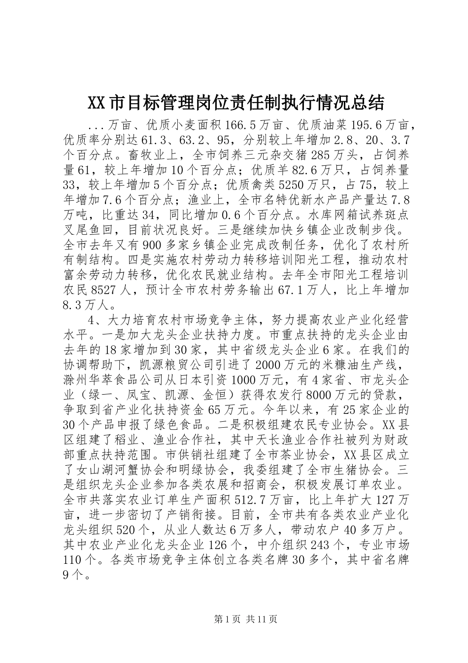 XX市目标管理岗位责任制执行情况总结 _第1页