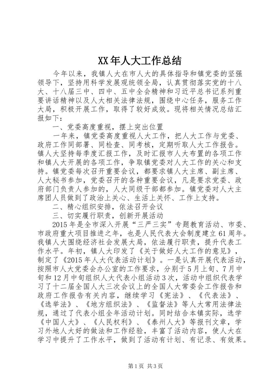 XX年人大工作总结 _第1页