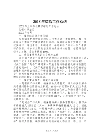 202X年综治工作总结