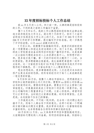 XX年度招标投标个人工作总结 