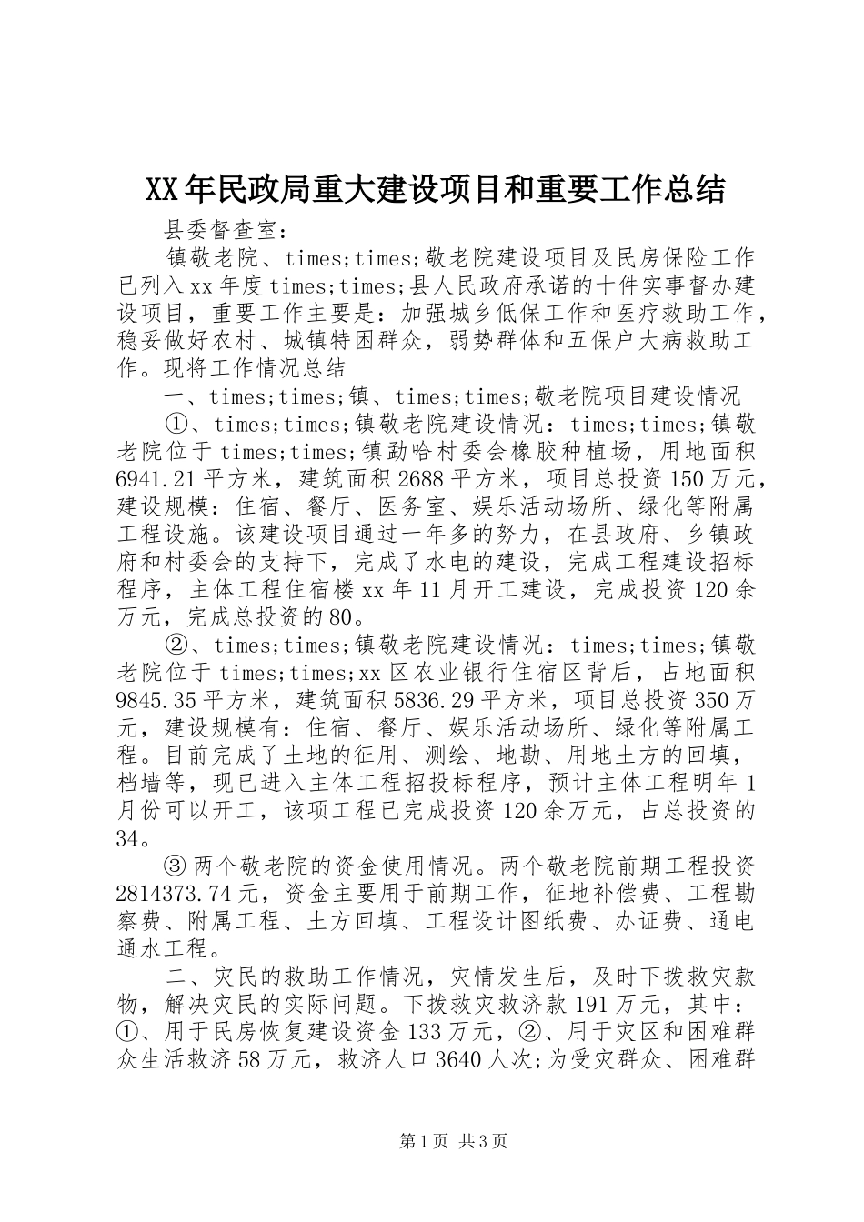 XX年民政局重大建设项目和重要工作总结 _第1页