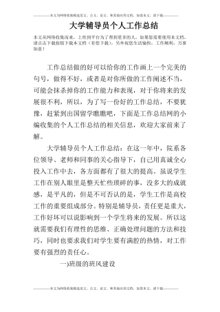 大学辅导员个人工作总结