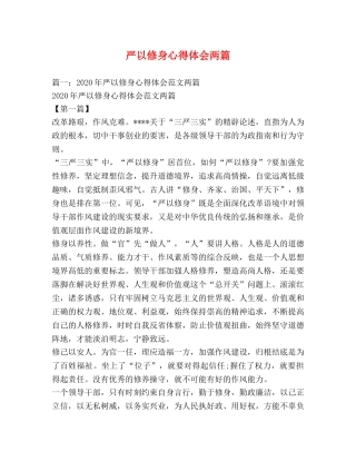 严以修身心得体会两篇 