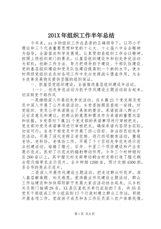 202X年组织工作半年总结