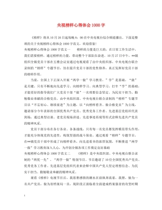 央视榜样心得体会1000字 