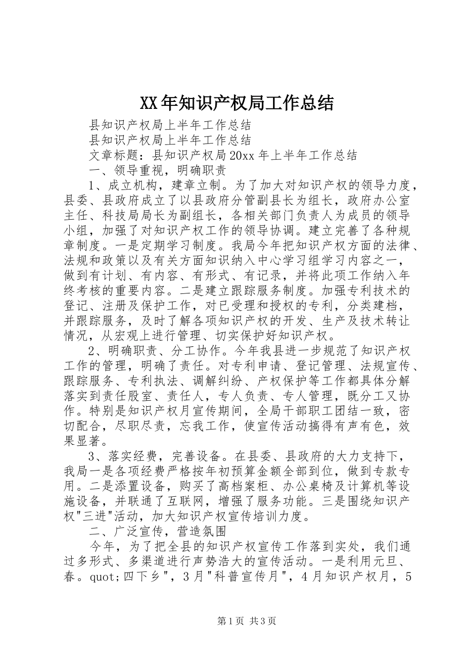 XX年知识产权局工作总结 _第1页