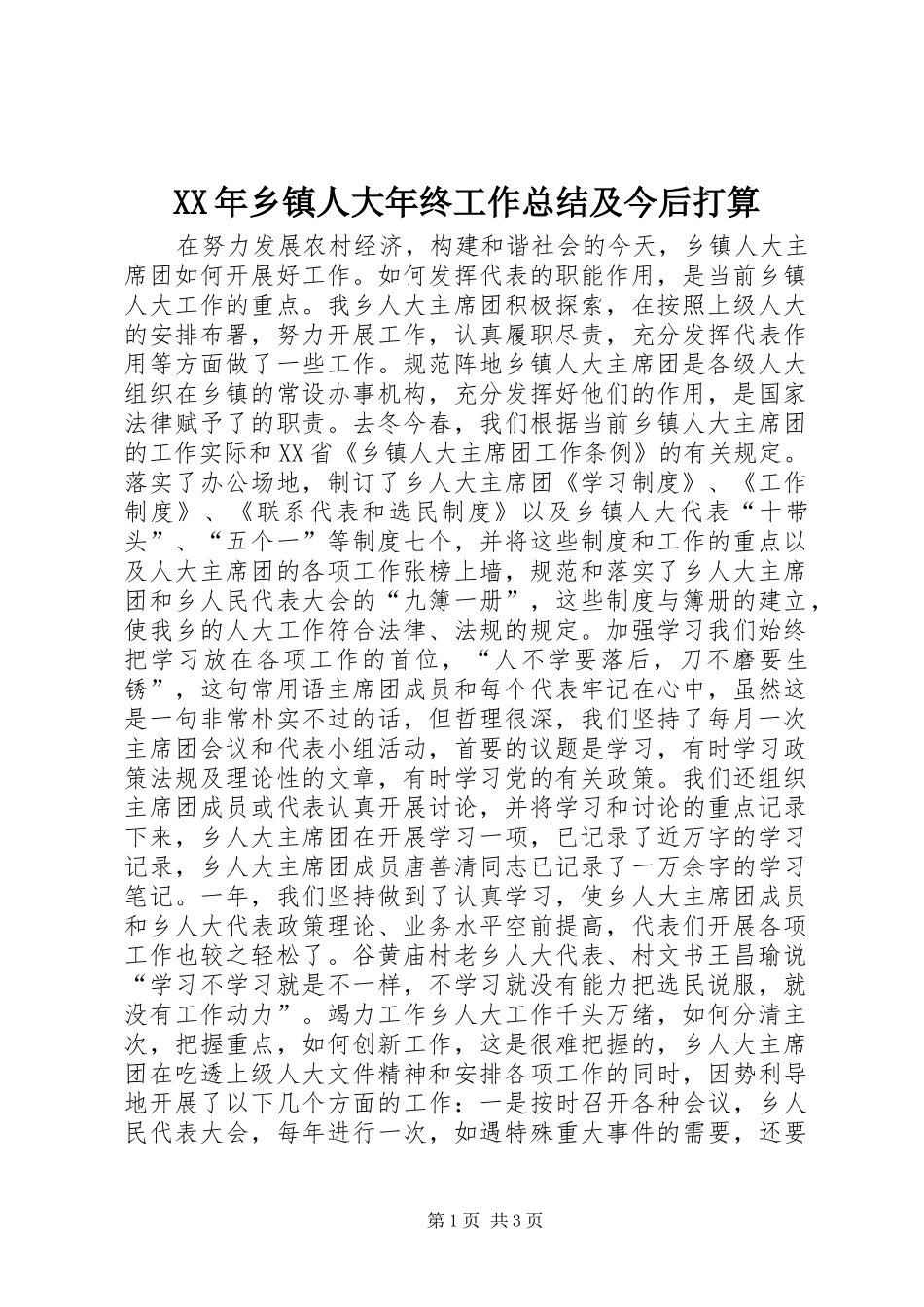 XX年乡镇人大年终工作总结及今后打算 _第1页