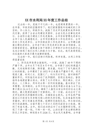 XX市水利局XX年度工作总结 