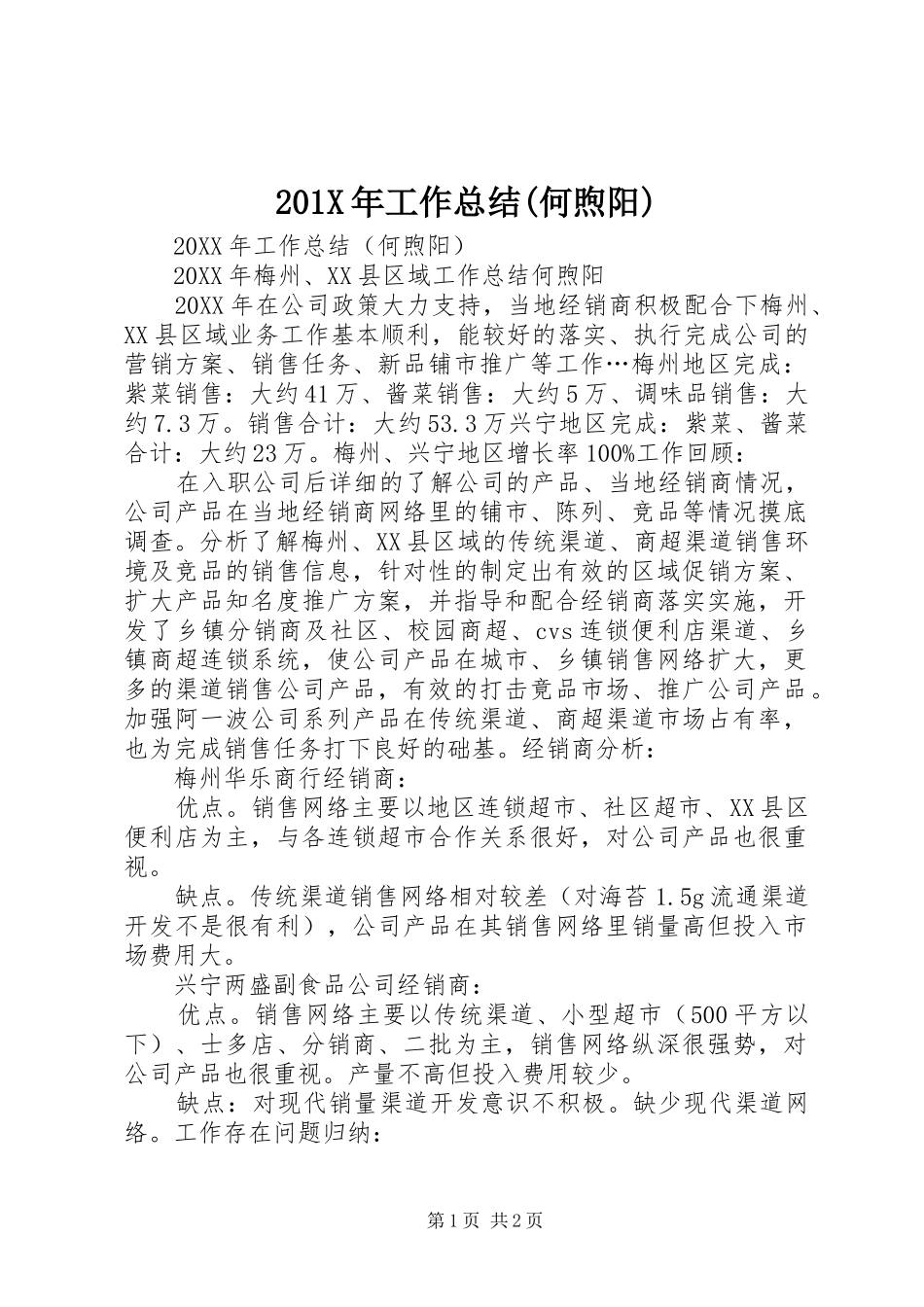 202X年工作总结(何煦阳)_第1页
