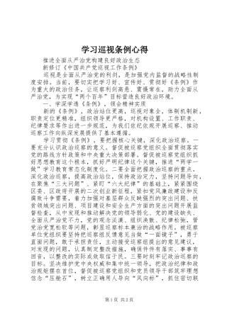 学习巡视条例心得