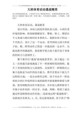 大班体育活动谍战精英