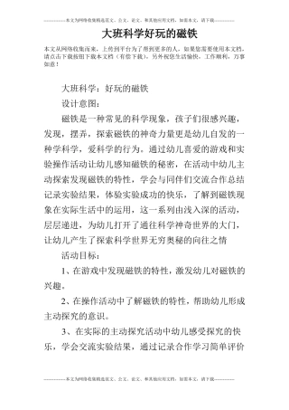 大班科学好玩的磁铁