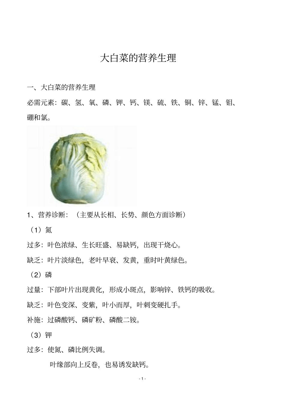 大白菜生产栽培模板_第1页