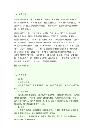 大花蕙兰家庭养殖总结