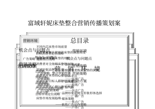 大自然全山棕床垫整合营销传播策划案