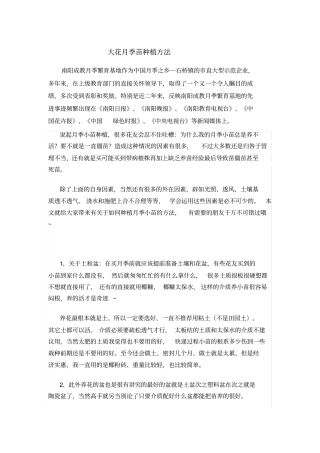 大花月季苗种植方法