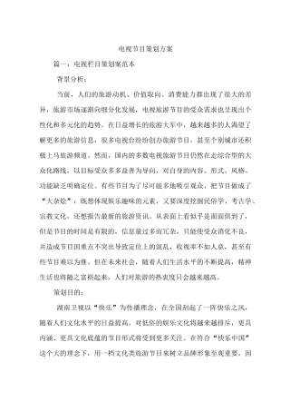 电视节目策划方案