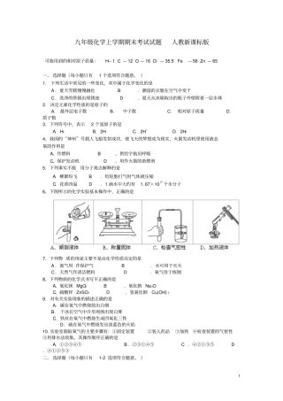 天津宝坻区何仉中学九年级化学上学期期末考试试题人教新课标版