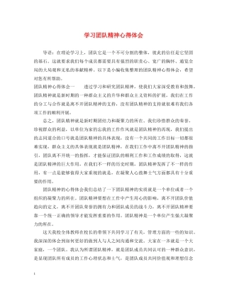 学习团队精神心得体会 