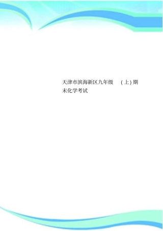 天津滨海新区九年级上期末化学考试
