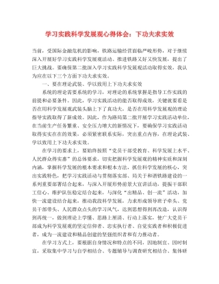学习实践科学发展观心得体会：下功夫求实效 