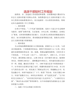 选派干部驻村工作规划 