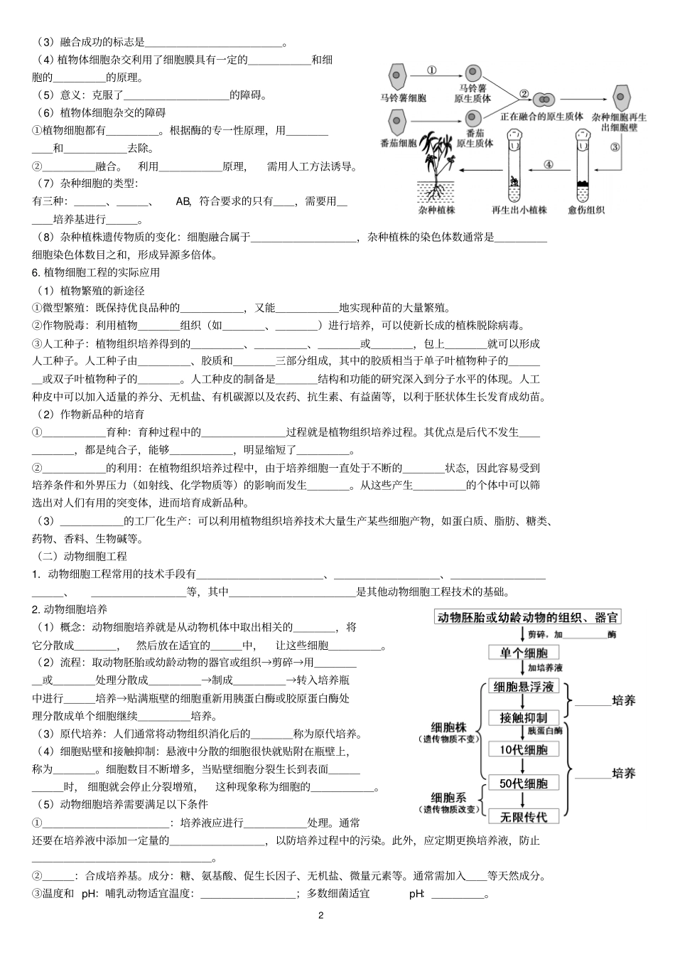 好--生物选修专题细胞工程导学案高三复习_第2页