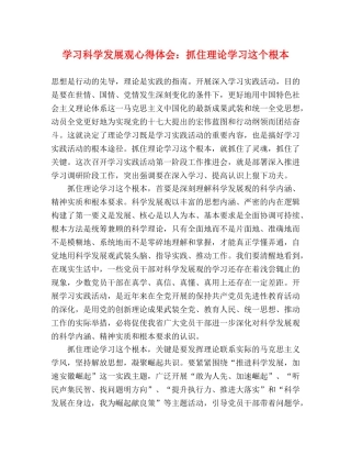学习科学发展观心得体会：抓住理论学习这个根本 