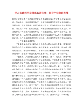 学习实践科学发展观心得体会：指导产业集群发展 