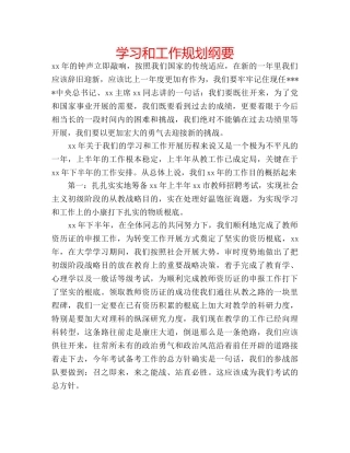 学习和工作规划纲要 